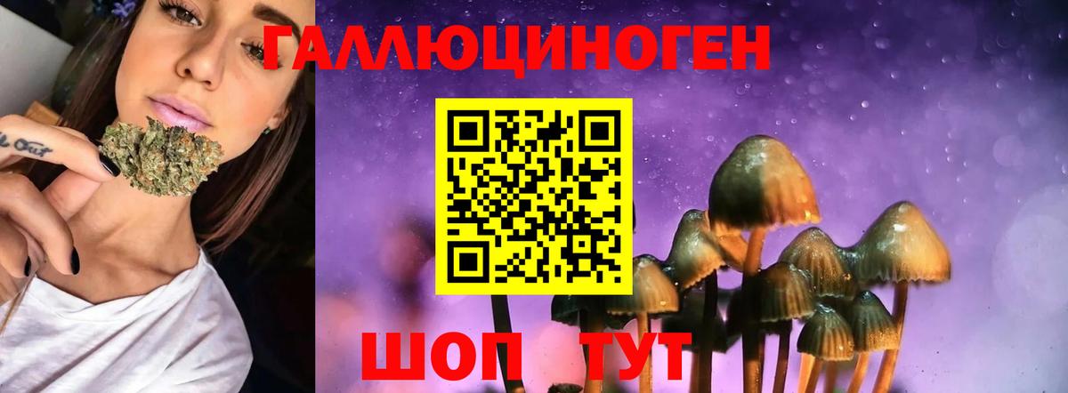 Сочи  Галлюциногенные грибы Psilocybe  Вход с VPN  Псилоцибиновые грибы Magic Shrooms 